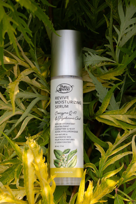 Pure Anada Revive Moisturizing Serum - Coenzyme Q-10 & Hyaluronic Acid