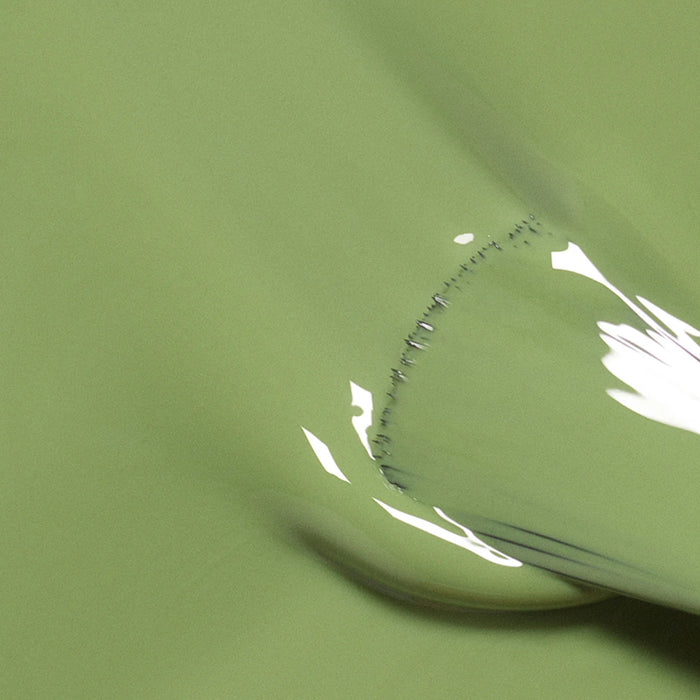 Manucurist Nail Polish (56 shades)